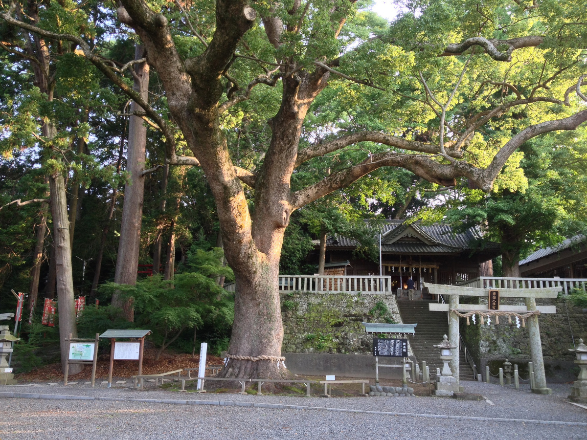 神様にお願いしたことが ”ことのまま” に叶う言霊のお社『事任八幡宮』