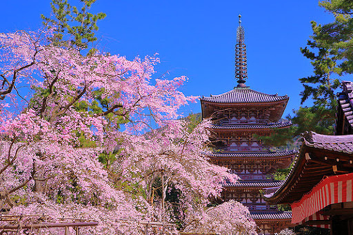 醍醐寺