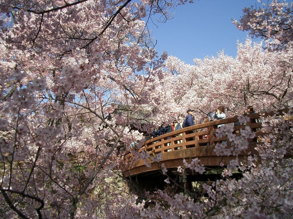 高遠城址公園